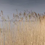 Kamphof Usedom דירה לודין