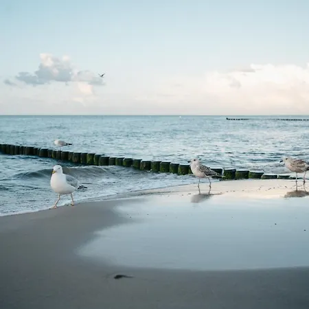 Lejlighed Kamphof Usedom