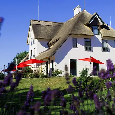 Kamphof Usedom Apartment Loddin