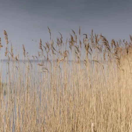 Kamphof Usedom شقة لودين