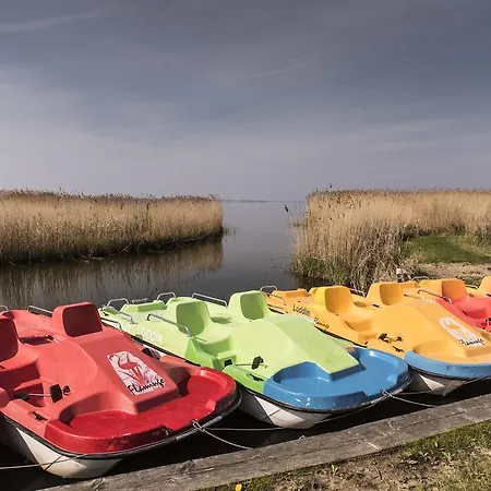 Lejlighed Kamphof Usedom Loddin
