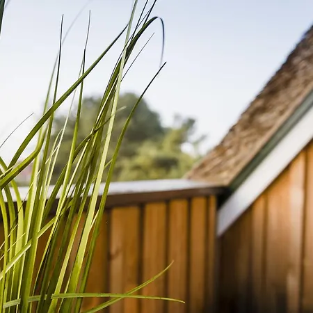 Lejlighed Kamphof Usedom *